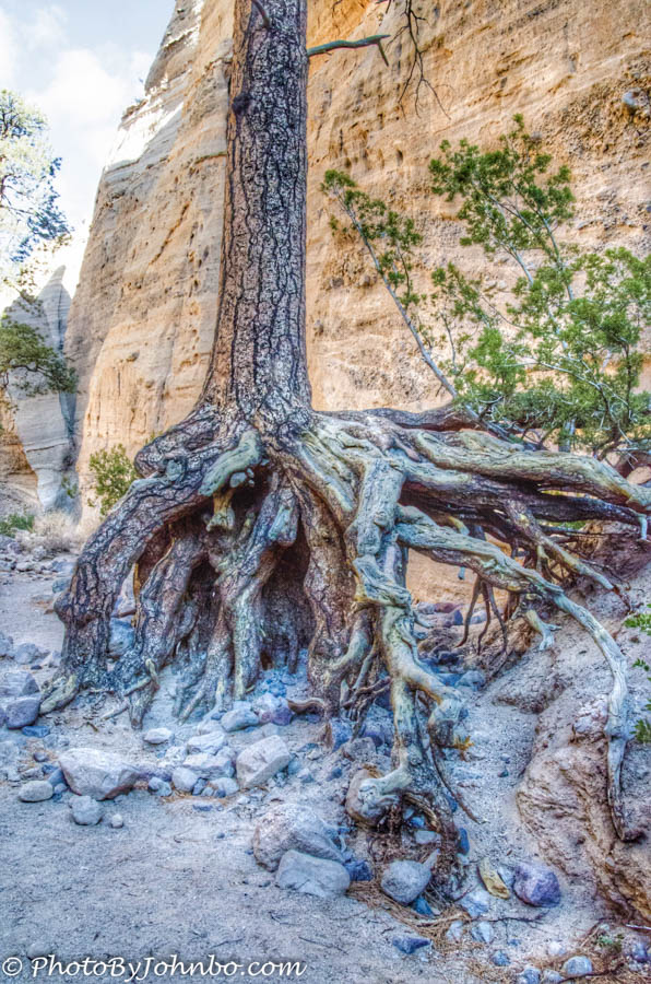 Tent Rocks-11