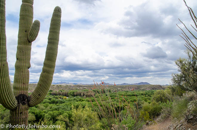 A few from Lykes' Lookout.
