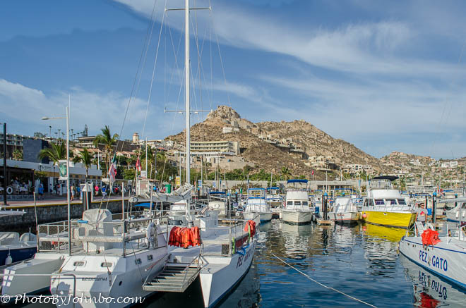 A view of the marina and resorts on the hillside from our tour boat.