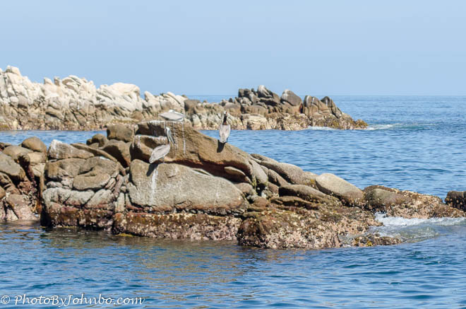 Yelapa-Article-HDR-4