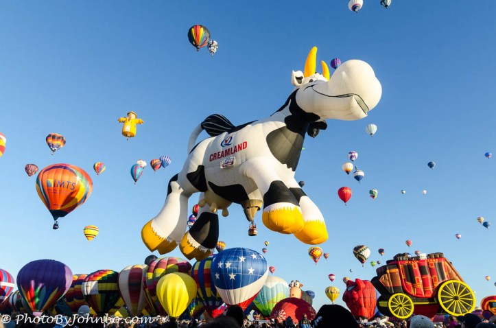 Balloon Fiesta-7