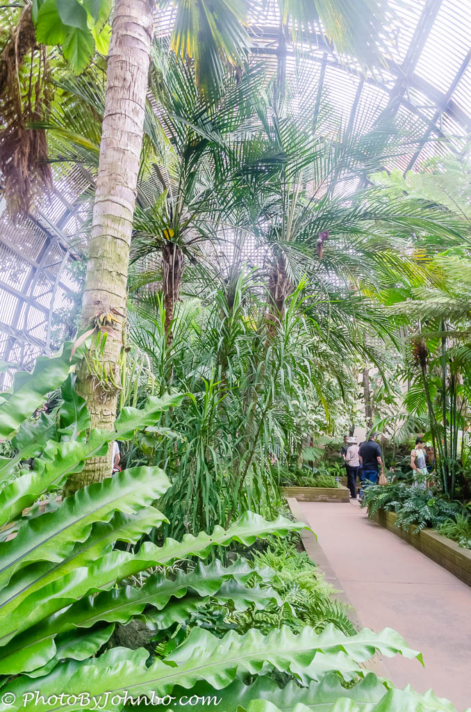 Balboa Park Gardens-11