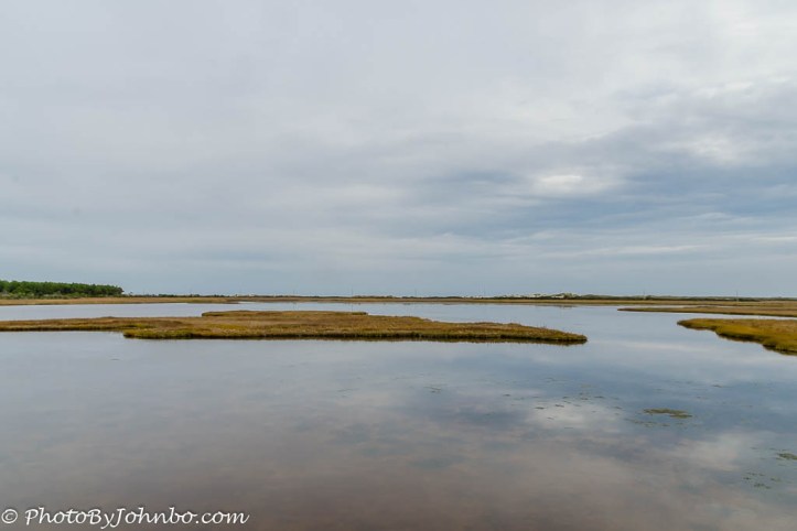Bodie island-4