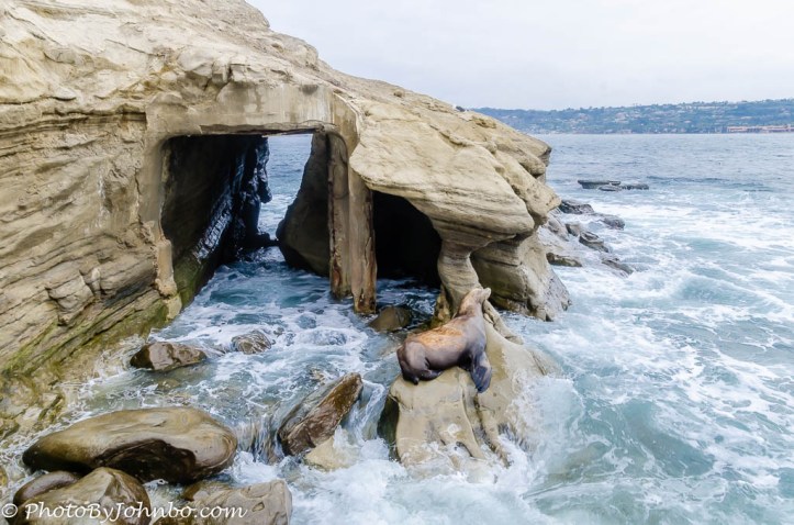 La Jolla Cove-9