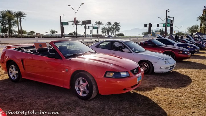 ass-kickin-mustang-1