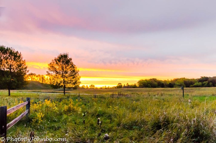 turtleriversunrise-3