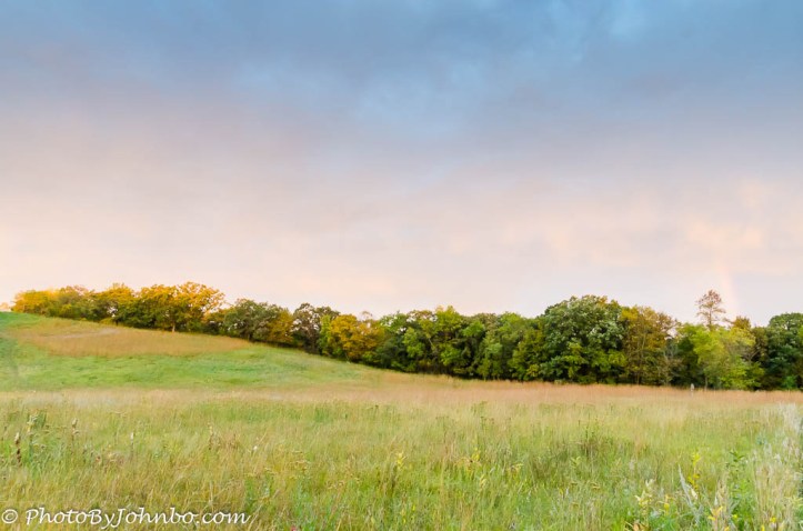 turtleriversunrise-7