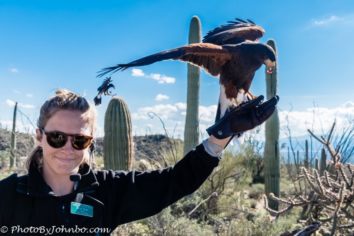 Raptor Free Flight Demonstration.