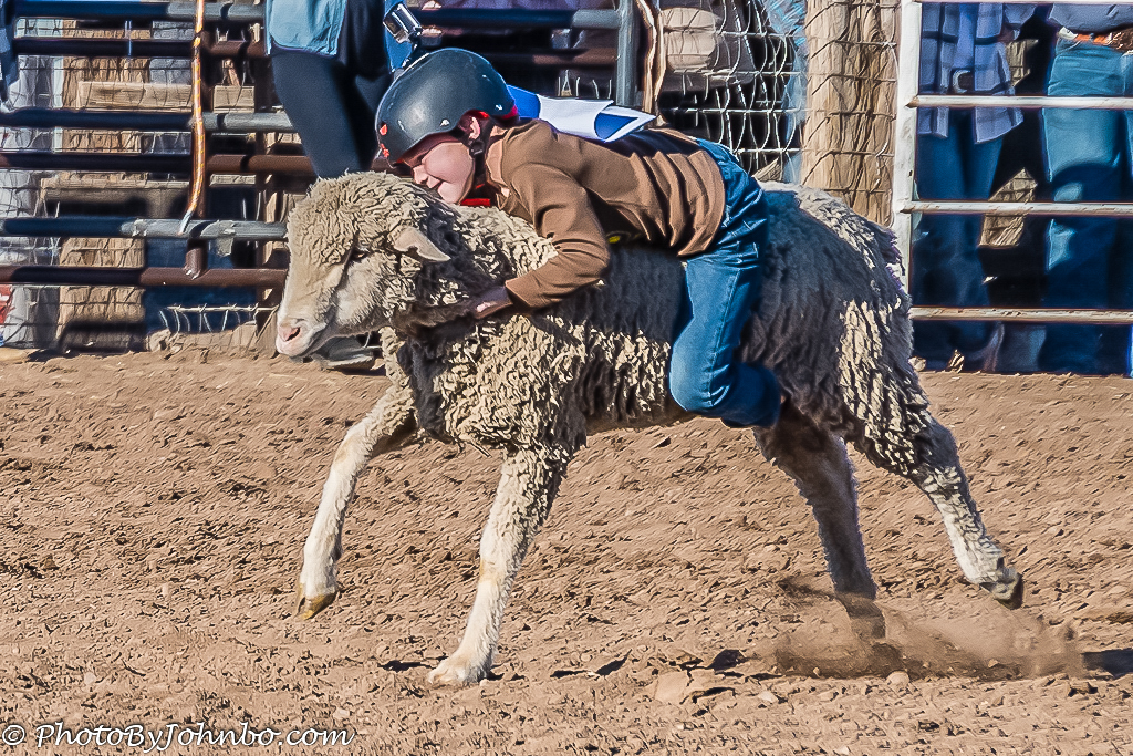 Hellzapoppin Rodeo – Buckeye Days Old West Experience – Journeys