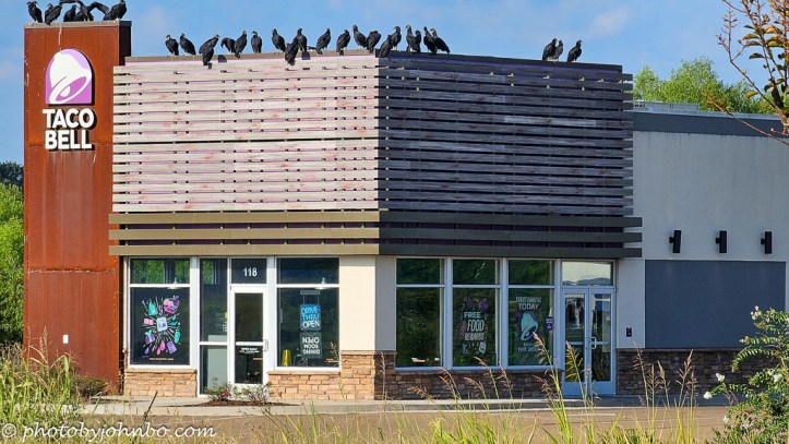 A group of taco vultures at a Taco Bell in Mississippi.